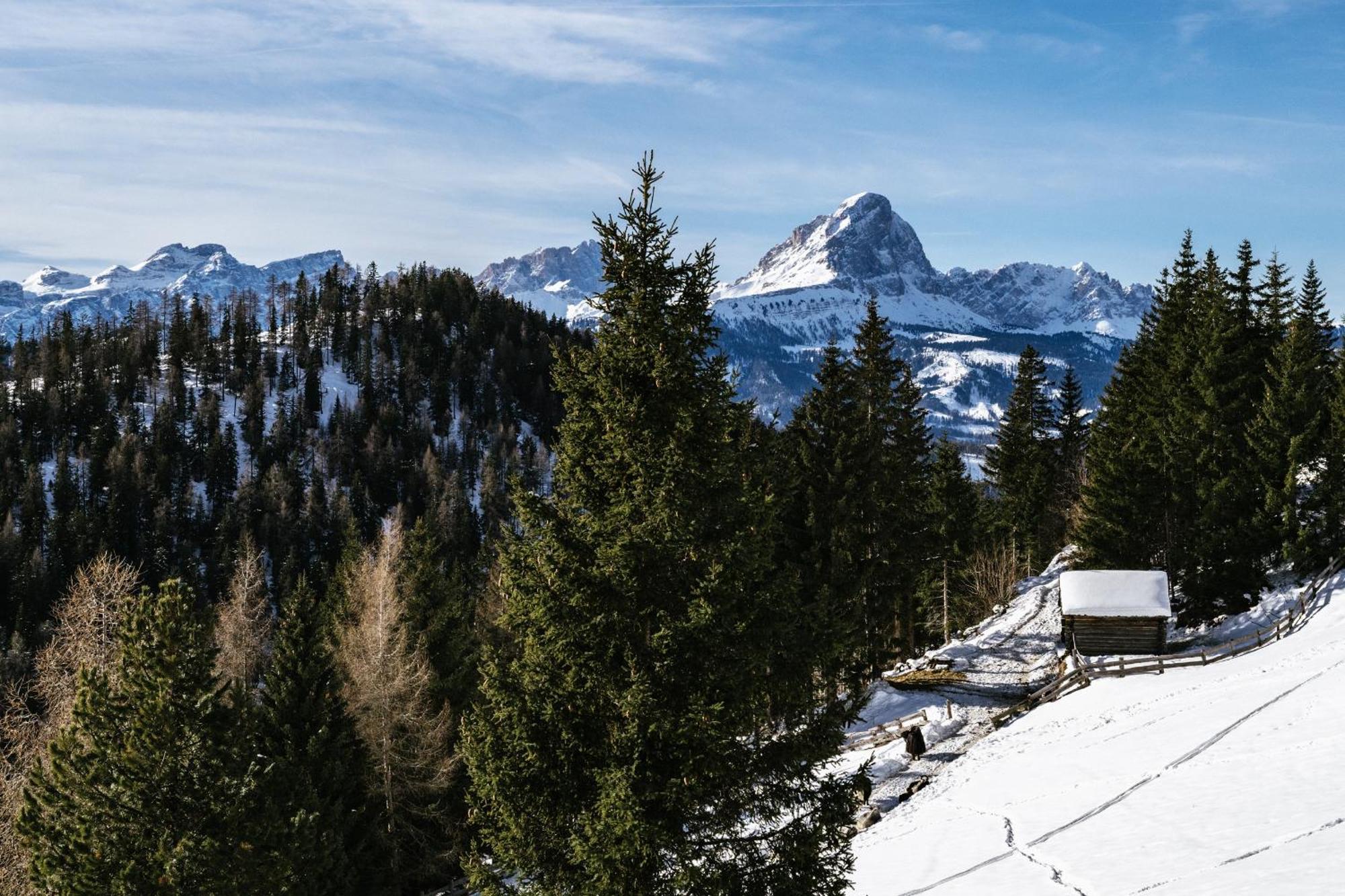 Alpine Hotel Gran Foda' San Vigilio Di Marebbe Luaran gambar